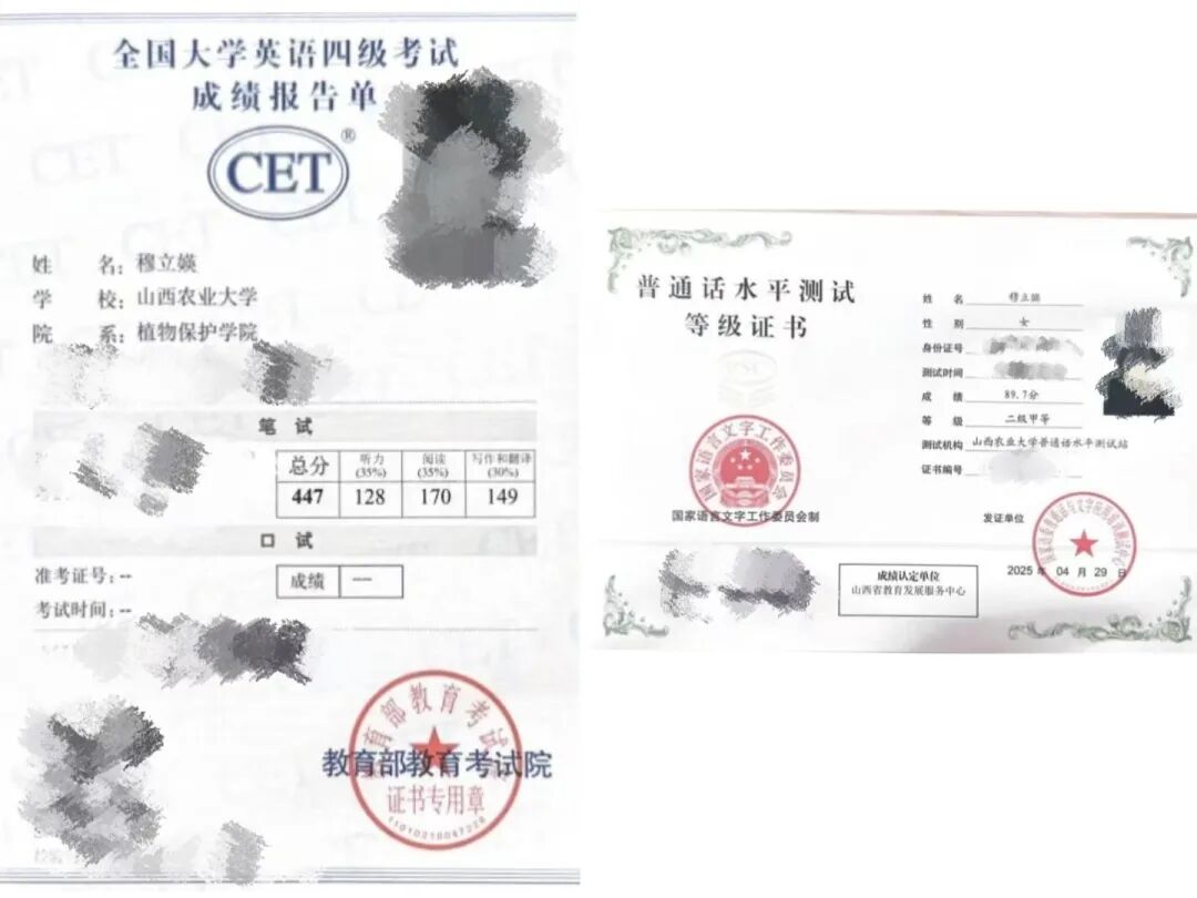 11CD4